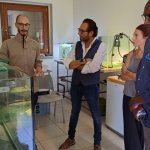Visita al centro di riproduzione della Emys orbicularis gestito da Eleade Soc. Cop. presso la sede del Parco del Po piemontese della Palude di San Genuario - Foto S. Costa